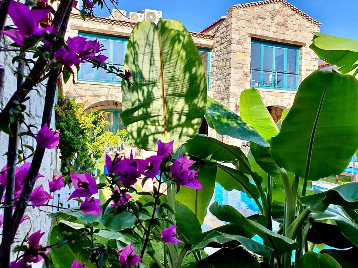 Windmill Alaçatı Eksteriør billede