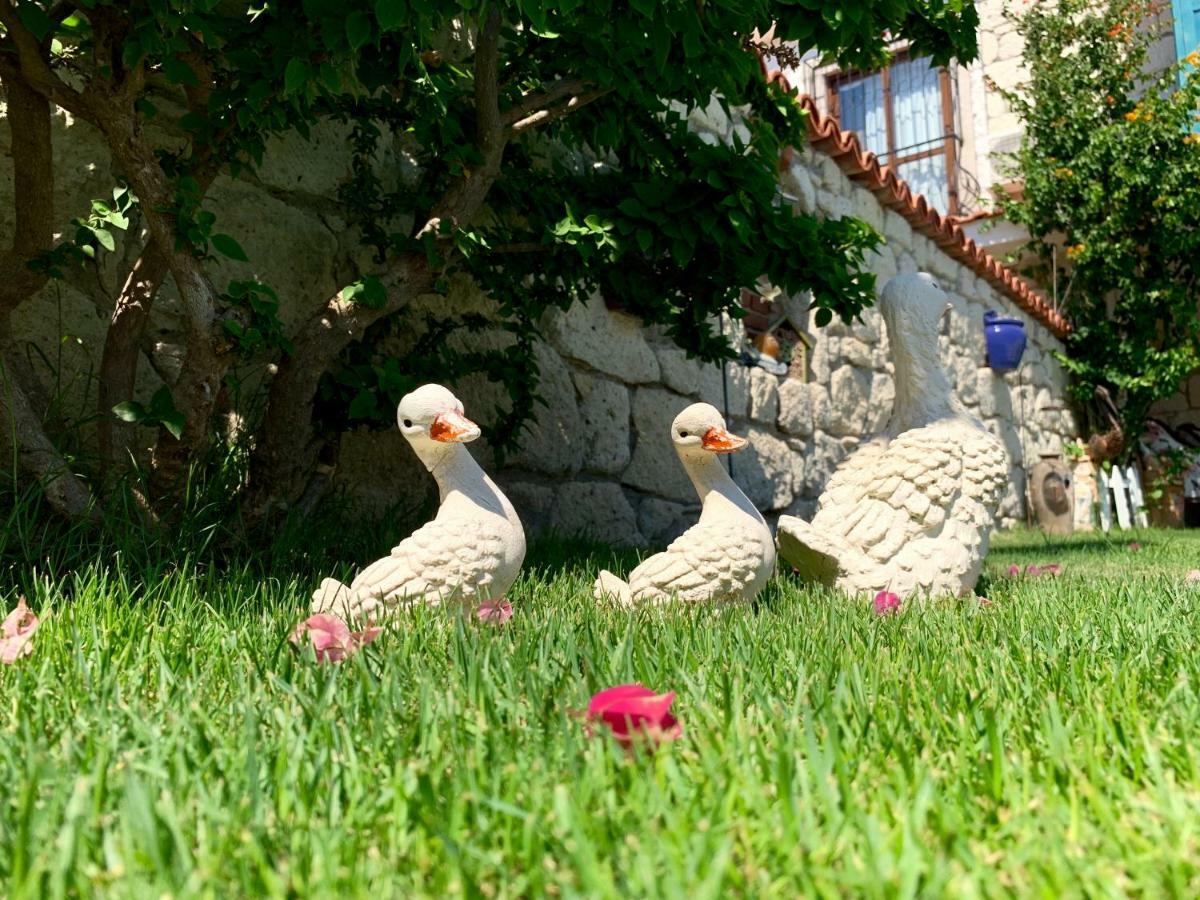 Windmill Alaçatı Eksteriør billede